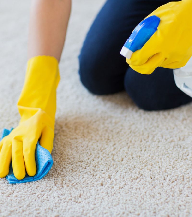 Benefits Of Professional Carpet Cleaning In Los Angeles